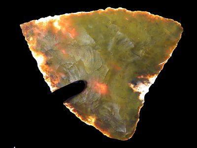 2 1/8" Tortugas, Colorful Flint, New Mexico