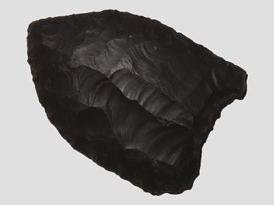 2" Midland/Possible Folsom Type, New Mexico