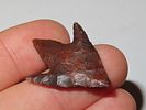 1 1/4" Arenosa, Stermer COA, Southwestern Texas, Both Barbs RestoredImage - 3