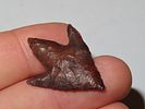 1 1/4" Arenosa, Stermer COA, Southwestern Texas, Both Barbs RestoredImage - 4