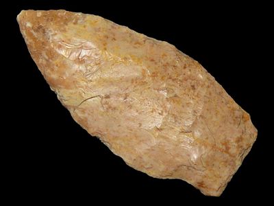 2" Packard Point, Local Chert, St. Francis Co., Missouri