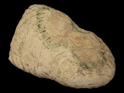 5 1/4" Full Grooved Limestone Axe, Clay Co., Arkansas