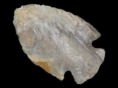 2 1/4" Big Creek, Prenters Chert, Clay Co., Arkansas