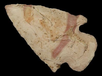 2 1/4" Big Creek, Burlington Chert, Butler Co., Missouri