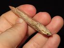 2 1/2" Johnson, Crowley Ridge Chert, Clay Co., ArkansasImage - 2