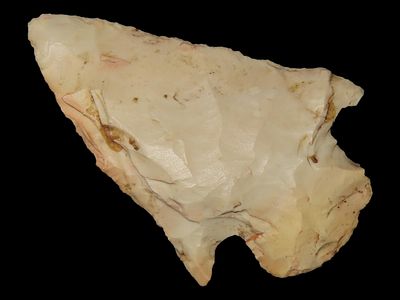 2 1/2" Ferry, Burlington Chert, Butler Co., Missouri
