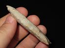 2 7/8" Matanzas Bullet, Burlington Chert, St. Francois Co., MissouriImage - 2