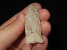 2 7/8" Matanzas Bullet, Burlington Chert, St. Francois Co., MissouriImage - 3