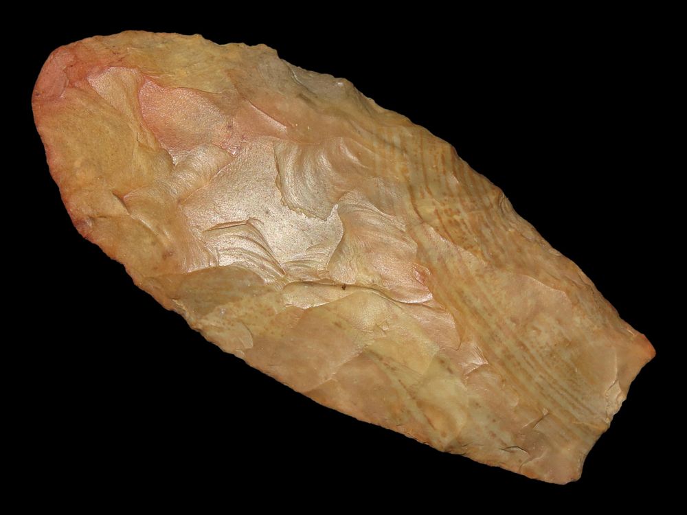 2 15/16" Clovis, Tony Putty COA, Buffalo River Chert with Brown and Red Linear Stripes, Buffalo 