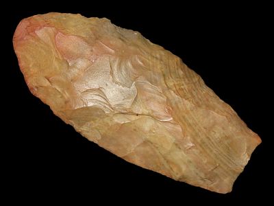 2 15/16" Clovis, Tony Putty COA, Buffalo River Chert with Brown and Red Linear Stripes, Buffalo 