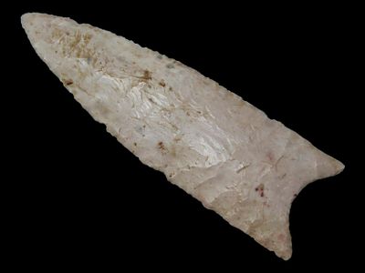 5 1/16" Sloan Dalton, Tony Putty COA, Burlington Chert, Kane Co., Illinois