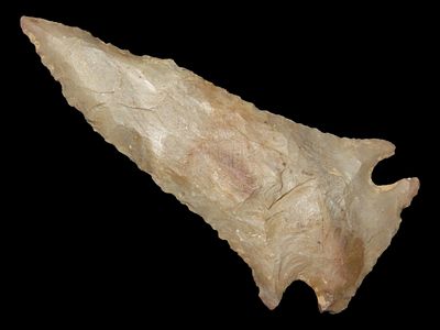 2 11/16" Pinetree, Jackson COA, Fort Payne Chert, Fentress Co., Tennessee, Ex. Rocky Hall, Ex. 