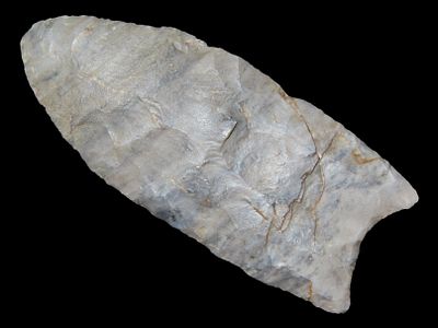 3" Clovis, Tony Putty COA, Striped Chert, One-Sided Fluting, Illinois