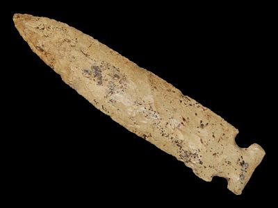 6 5/8" Osceola Hemphill, Perino COA, Dickey COA, Burlington Chert, Stone Co., Missouri, Ex. 