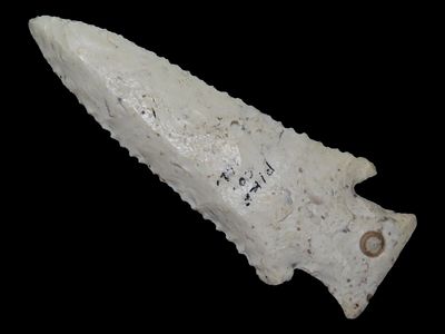 3 11/16" Hardin, White Beveled and Serrated Burlington Chert with Fossils, Pike Co., Illinois