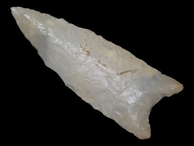 3 5/16" Dalton, Gray Hornstone, Mineralized, Kentucky, Ex. Karl Parchert