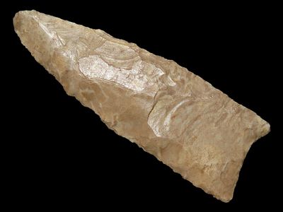 2 5/8" Archaic, Fluted and Beveled Brown Chert, Tennessee