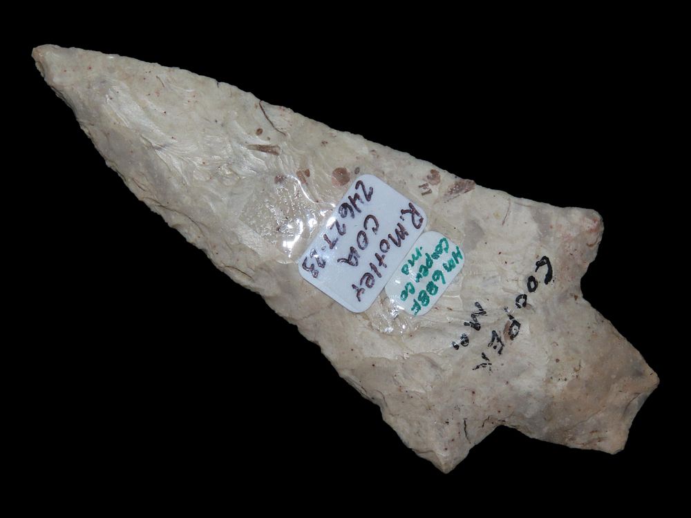 4 1/4" Dickson Point, Motley COA, Burlington Chert, Cooper Co., Missouri, Ex. Herbert Mangold