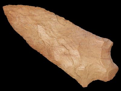 3 7/8" Pickwick, Carlisle, Kentucky, Found by Aron Ellegove