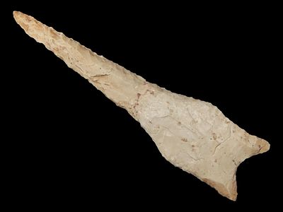 4 1/8" Dalton, Relic House COA
