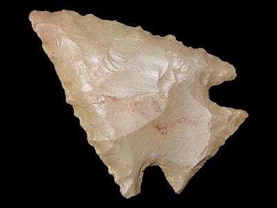1 5/8" Corner Notch Pinetree, Benton Co., Tennessee