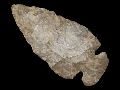 2 3/4" Dovetail, Benton Co., Tennessee