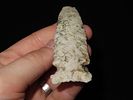 4" Hemphill, Scott Co., IllinoisImage - 3