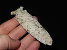 4" Hemphill, Scott Co., IllinoisImage - 5