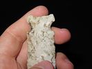 4" Hemphill, Scott Co., IllinoisImage - 8