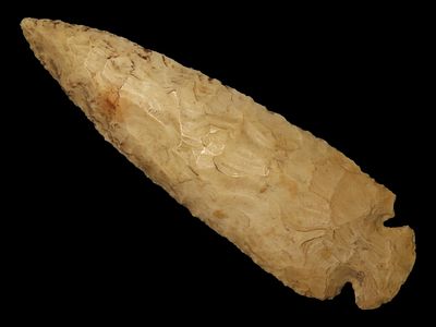 3 7/8" Dovetail, Pike Co., Missouri