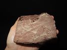4 13/16" x 4 3/8" Extremely Rare Cahokia Wilson Tablet, Found at Cahokia in Madison Co. Image - 5