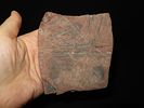 4 13/16" x 4 3/8" Extremely Rare Cahokia Wilson Tablet, Found at Cahokia in Madison Co. Image - 6