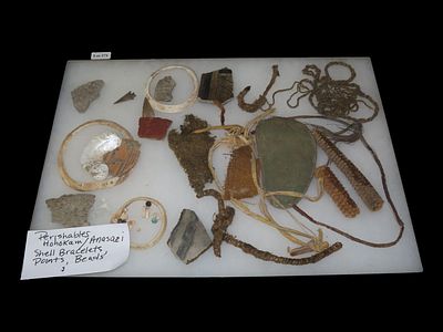 12" x 16" Riker Display of Hohokam/Anasazi Shell Bracelets, Points, Beads, and Perishables