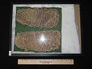 12" x 18" Riker Display with 10" Anasazi Woven Yucca Sandals, Found in 1940 by Mr. Warner on Image - 7