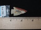 1 1/2" Bird Point, Found on the J.J. Currie Ranch, Palo Duro Canyon, Randall Co., TexasImage - 6