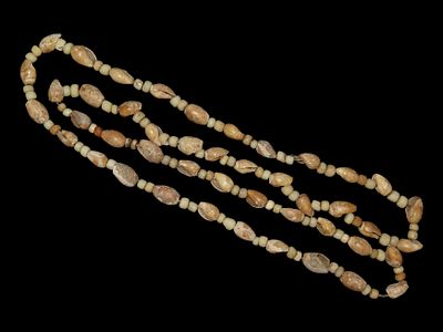 17" Shell and Stone Bead Necklace, Wisconsin, With Sinew String