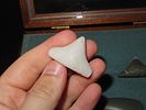Lot of 3 Ancient Island Artifacts, Pacific CoastImage - 1