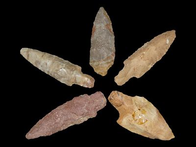 Grouping of 5 Adena Long Stem Points, Benton Co., Tennessee