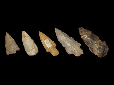Lot of 5 Archaic/Woodland Arrowheads, Benton Co., Tennessee