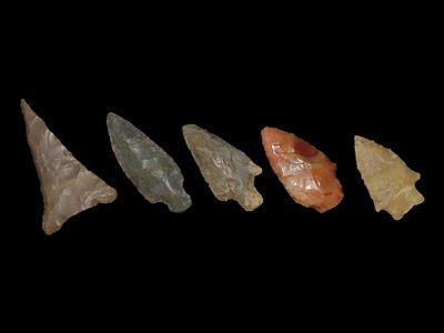 Lot of 5 Archaic/Woodland Arrowheads, Benton Co., Tennessee