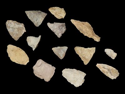Lot of 13 Archaic/Woodland Points, DeKalb Co., Illinois