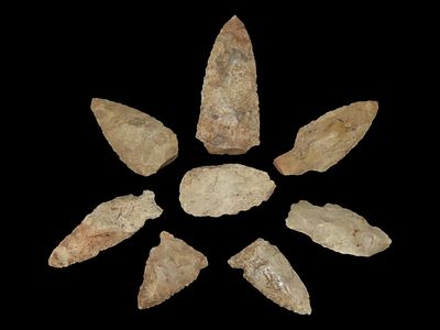 Lot of 8 Archaic/Woodland Points, DeKalb Co., Illinois