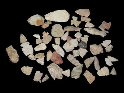 Lot of Common Arrowheads and Broken Points, DeKalb Co., Illinois