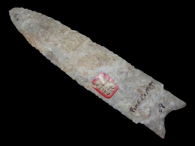 6” Holland, Pike Co., Missouri, Ex. William Walters, Ex. Bob Morast