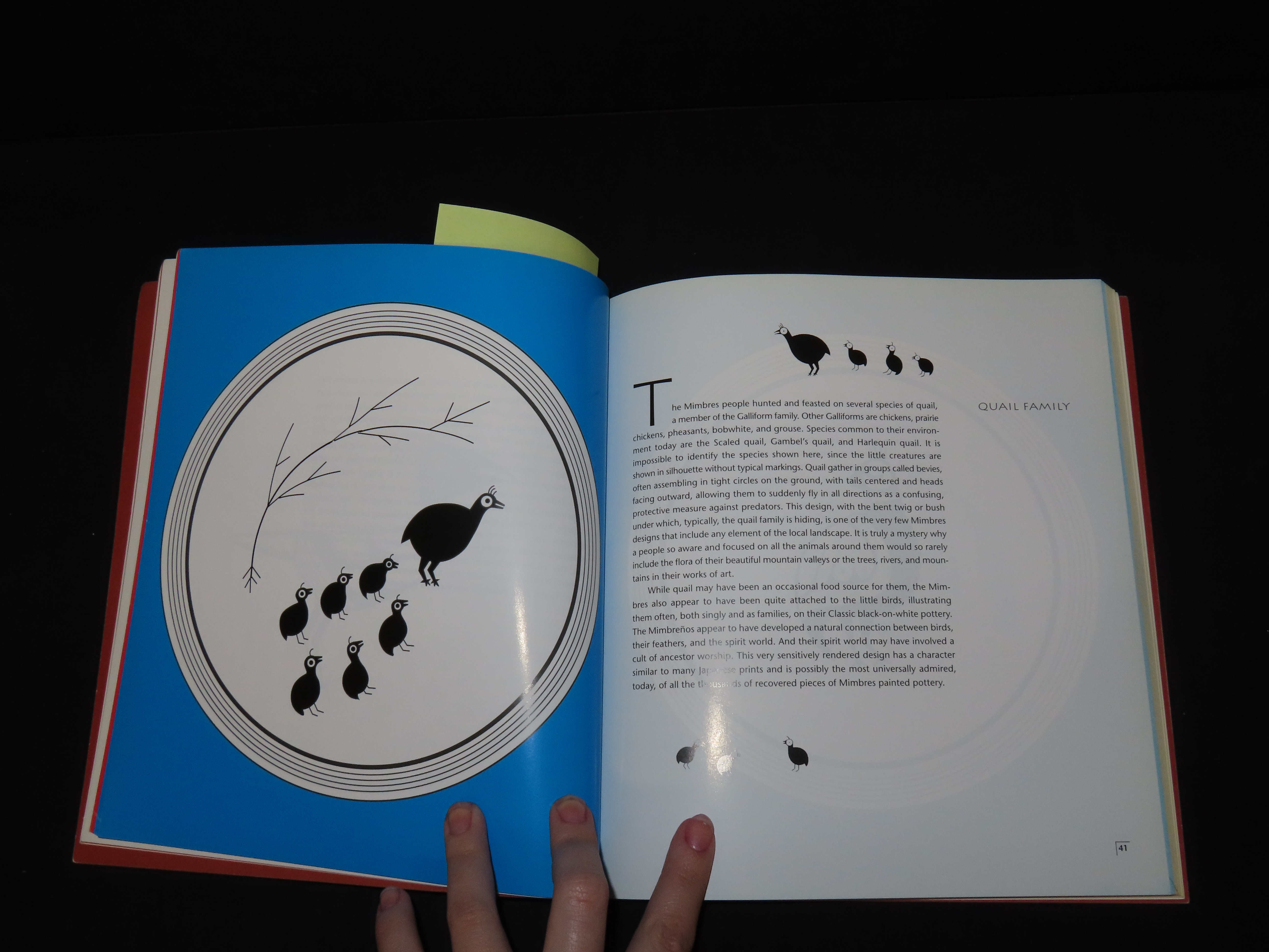 MIMBRES CLASSIC MYSTERIES RECONSTRUCTUNG A LOST CULTURE THROUGH ITS POTTERY