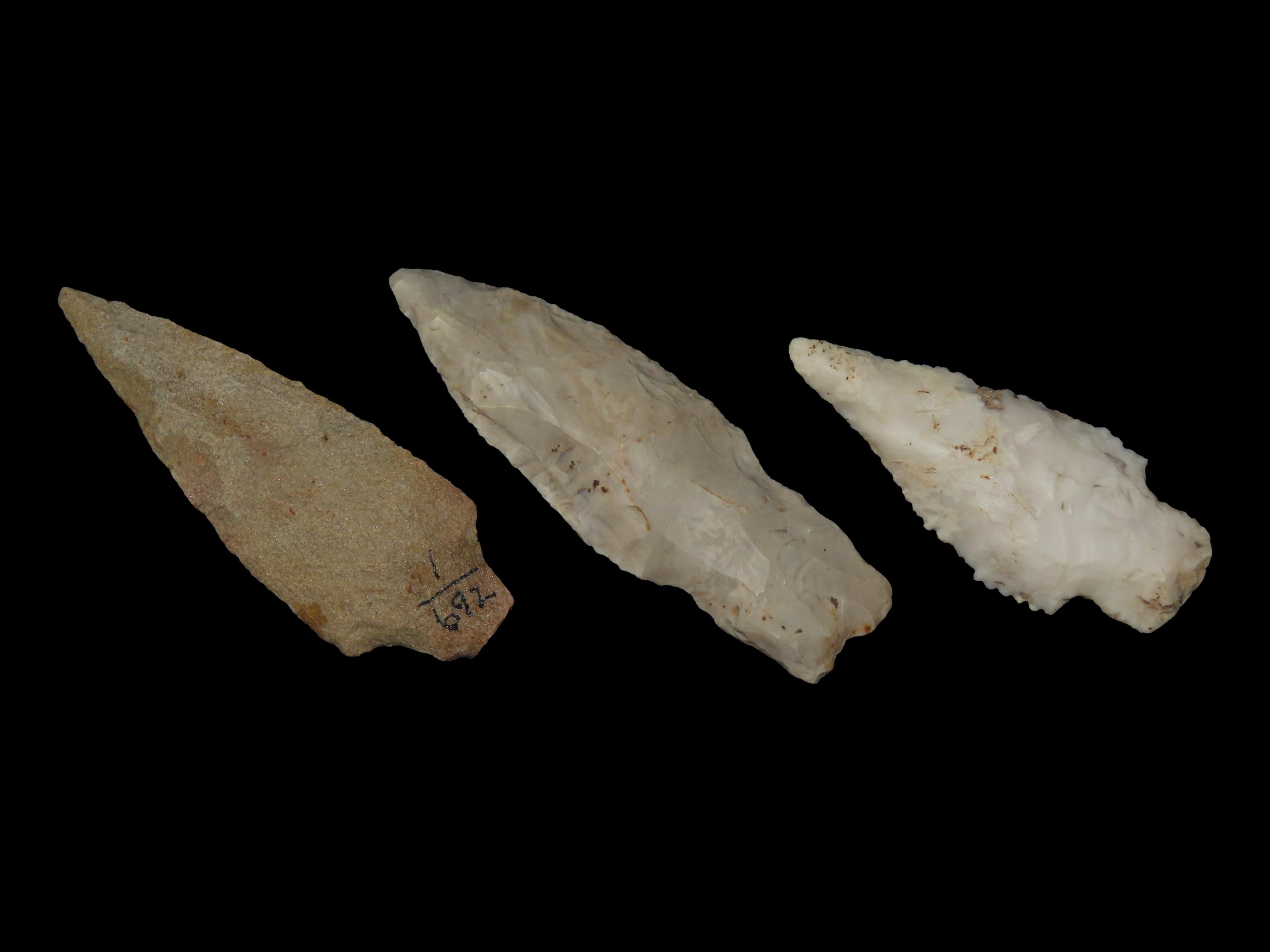 Lot of Stem Squared Arrowheads South Carolina