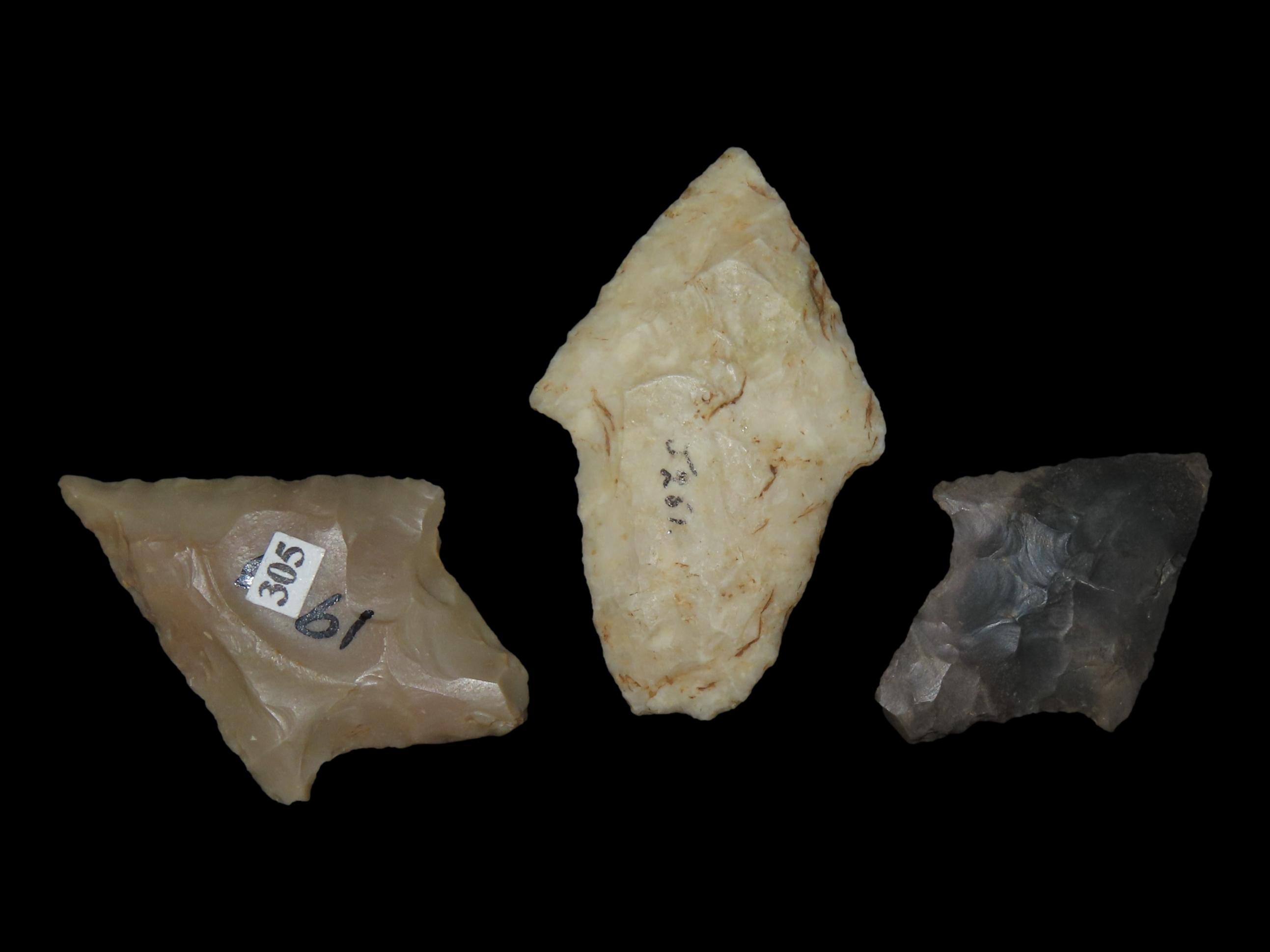 3 Adena and Gary Points from Ark.