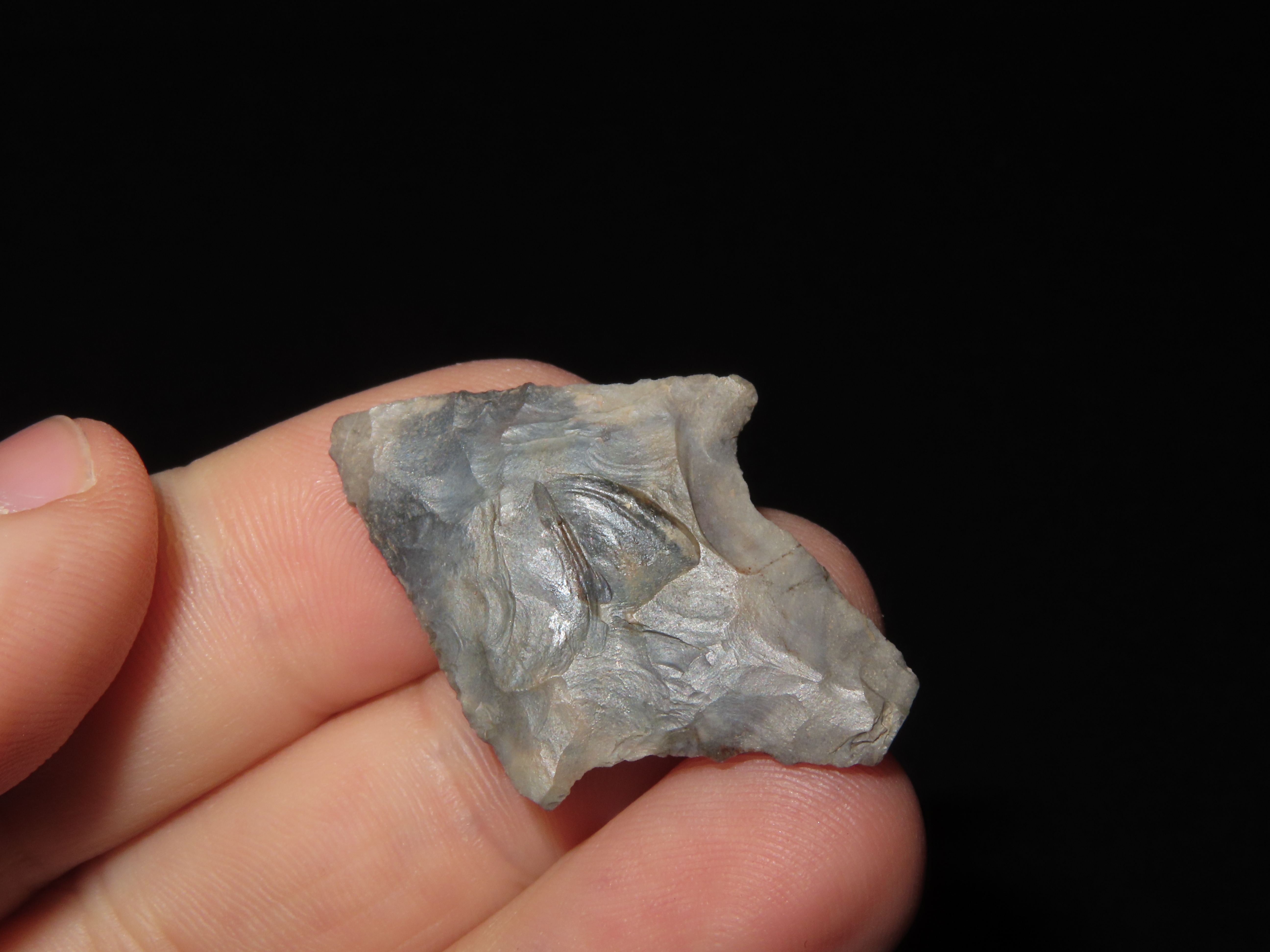 3 Adena and Gary Points from Ark.