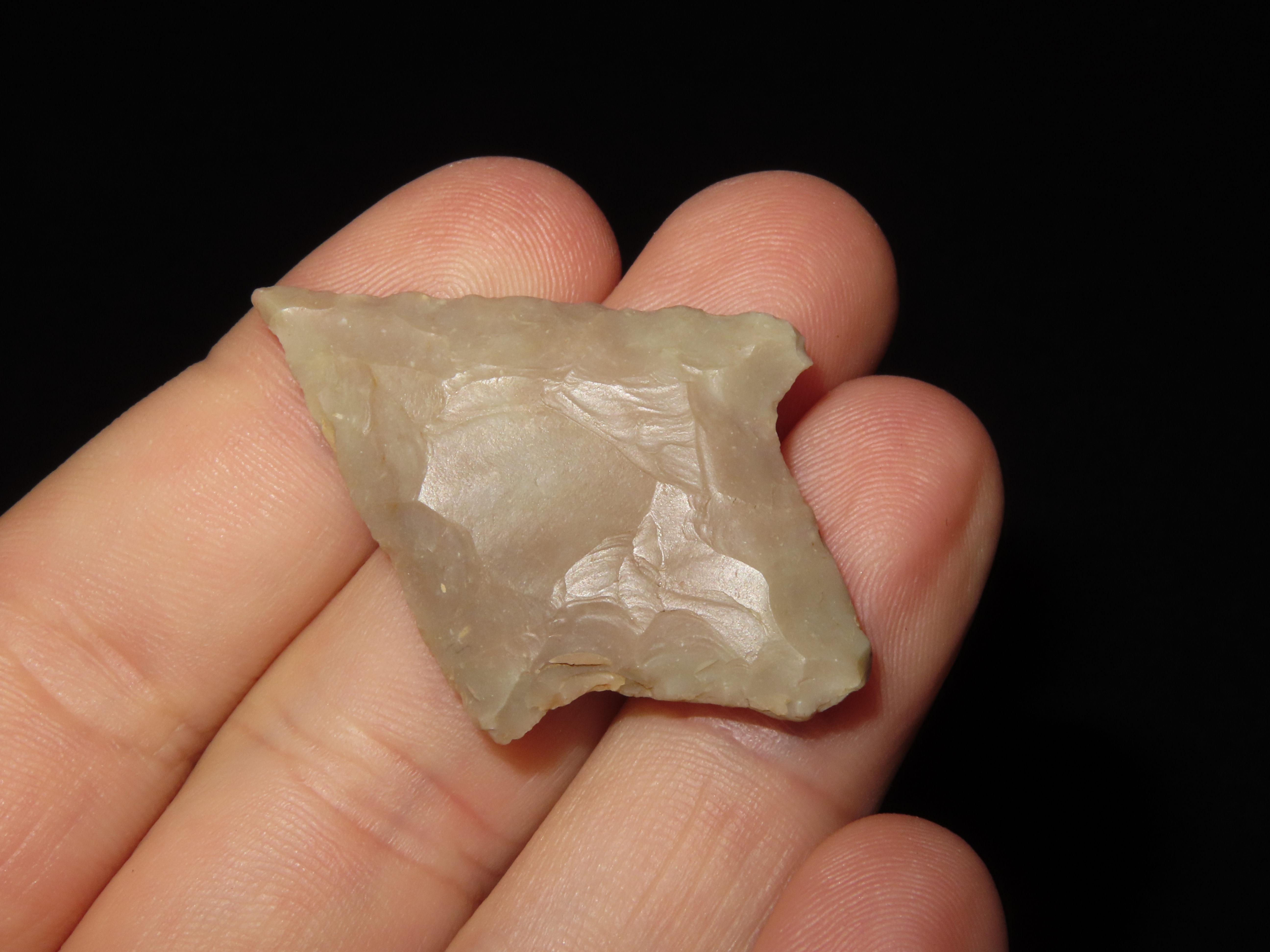 3 Adena and Gary Points from Ark.