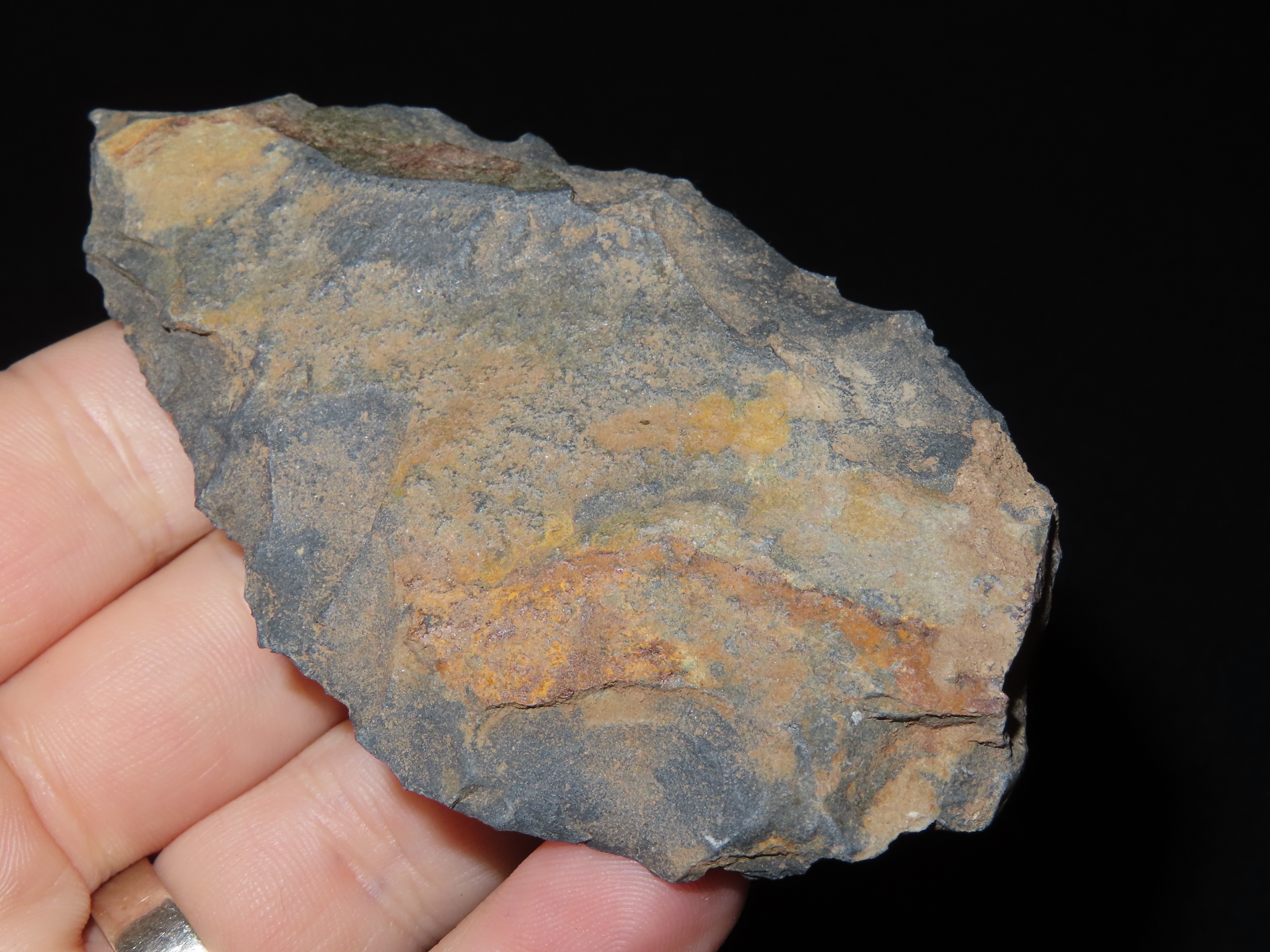 Lot of Two Archaic Points from Penn.